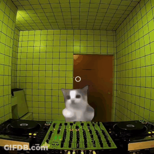 A Cat Is Standing In Front Of A Mixer That Says Pioneer On It GIF
