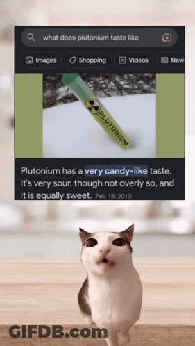 A Cat Is Standing In Front Of A Picture Of Plutonium Candy GIF