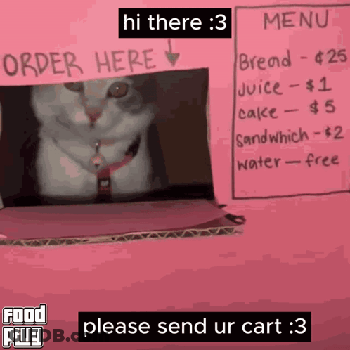 A Cat Is Standing In Front Of A Pink Sign That Says " Order Here " GIF