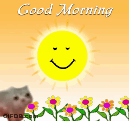 A Cat Is Standing In Front Of A Smiling Sun And The Words Good Morning GIF