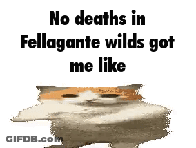 A Cat Is Standing In Front Of A White Background And Says `` No Deaths In Fellagante Wilds Got Me Like '' . GIF