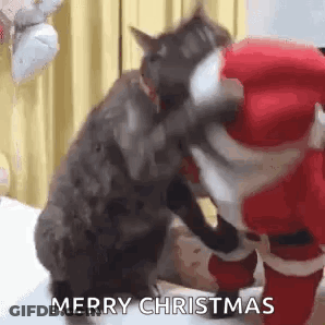 A Cat Is Standing Next To A Stuffed Santa Claus And Kissing It . GIF