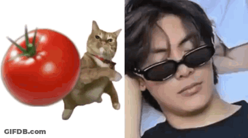A Cat Is Standing Next To A Tomato And A Man Wearing Sunglasses Is Laying On A Bed . GIF