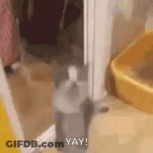 A Cat Is Standing Next To A Yellow Litter Box In A Bathroom . GIF