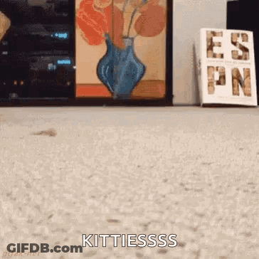 A Cat Is Standing On A Carpet With The Words Kittiesss Written On It GIF