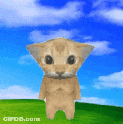 A Cat Is Standing On A Grassy Hill With A Blue Sky Behind It GIF