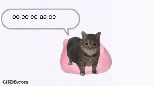 A Cat Is Standing On A Pink Pillow With A Speech Bubble Above It That Says Oo Eee GIF