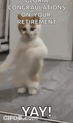A Cat Is Standing On Its Hind Legs And Dancing With The Words `` Congratulations On Your Retirement Yay '' . GIF