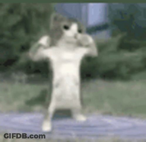 Cat Flexing Muscles In Blurry Photo GIF