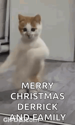 A Cat Is Standing On Its Hind Legs And Saying Merry Christmas To Derrick And Family . GIF