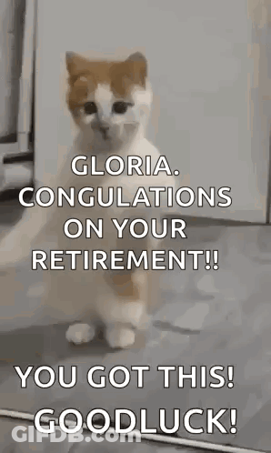 A Cat Is Standing On Its Hind Legs And Says `` Gloria , Congratulations On Your Retirement ! `` GIF