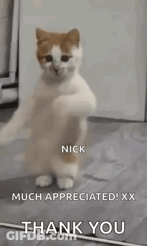 A Cat Is Standing On Its Hind Legs And Waving Its Paws In The Air . GIF