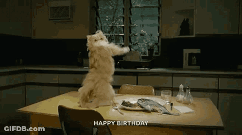 A Cat Is Standing On Its Hind Legs In Front Of A Table With The Words Happy Birthday Written Above It GIF