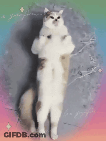 A Cat Is Standing On Its Hind Legs With A Rainbow Background GIF