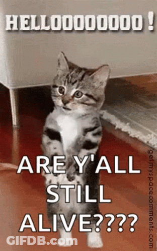 A Cat Is Standing On Its Hind Legs With The Words `` Are Y 'All Still Alive '' Written Above It . GIF