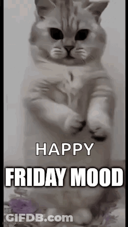 A Cat Is Standing On Its Hind Legs With The Words `` Happy Friday Mood '' . GIF