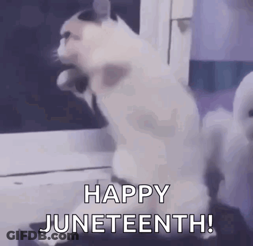 A Cat Is Standing On Its Hind Legs With The Words Happy Juneteenth Behind It GIF