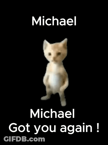 A Cat Is Standing On Its Hind Legs With The Words `` Michael Got You Again '' Written On It . GIF