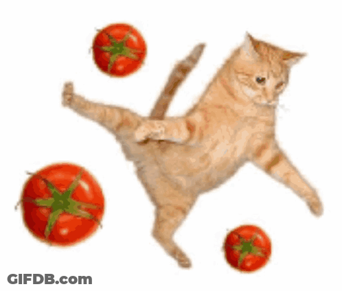 A Cat Is Standing On Its Hind Legs With Tomatoes Around It GIF