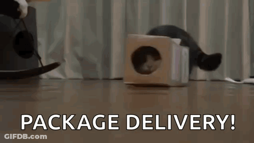 A Cat Is Sticking Its Head Out Of A Cardboard Box With The Words Package Delivery Written Below It GIF
