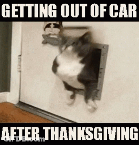 A Cat Is Sticking Its Head Through A Cat Door . GIF