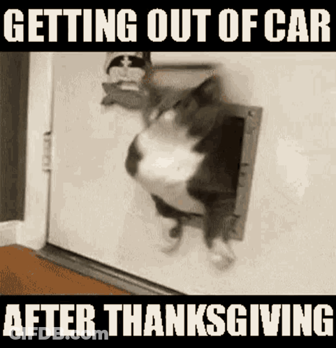 A Cat Is Sticking Its Head Through A Cat Door . GIF
