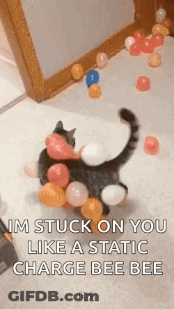A Cat Is Stuck On A Pile Of Balloons On The Floor With A Caption . GIF