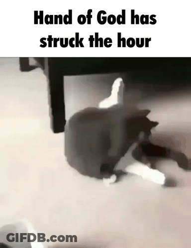 A Cat Is Stuck Under A Table With The Words Hand Of God Has Struck The Hour GIF
