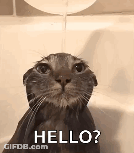 A Cat Is Taking A Bath In A Bathtub While Water Is Pouring Out Of A Faucet . GIF