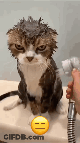 A Cat Is Taking A Bath With A Smiley Face In The Background GIF