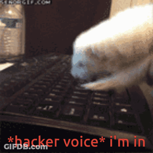 A Cat Is Typing On A Keyboard With The Words Hacker Voice I 'M In Below It GIF