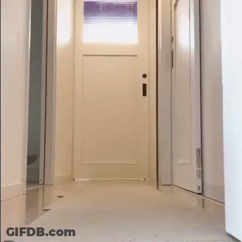 A Cat Is Walking Down A Hallway Next To A Door With A Window . GIF