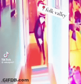 A Cat Is Walking Down A Hallway With A Sign That Says Folk Valley . GIF