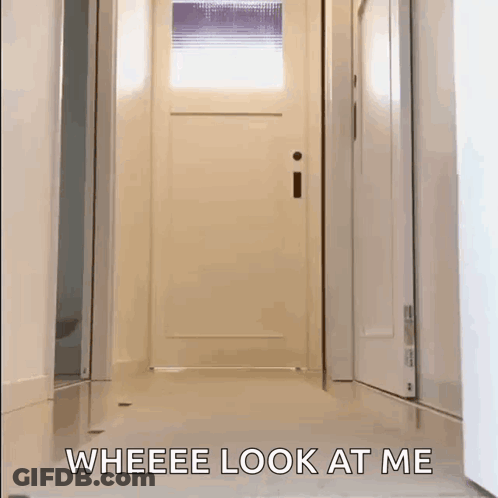 A Cat Is Walking Down A Hallway With The Words " Weeee Look At Me " On The Floor . GIF