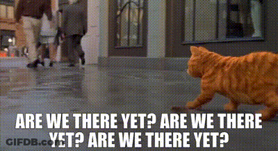 A Cat Is Walking Down A Sidewalk Next To A Sign That Says " Are We There Yet Are We There Yet Are We There Yet " GIF