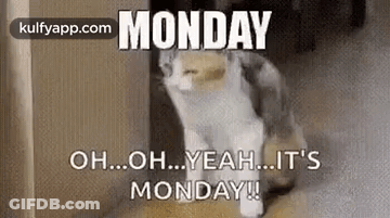 A Cat Is Walking Down A Staircase With The Words `` Monday Oh ... Oh ... Yeah ... It 'S Monday ! '' GIF