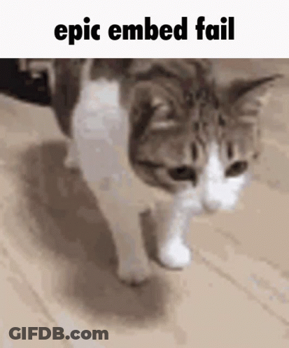 A Cat Is Walking On A Wooden Floor With The Caption Epic Embedded Fail . GIF