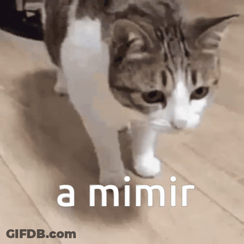 A Cat Is Walking On A Wooden Floor With The Words A Mimir Written On The Bottom GIF