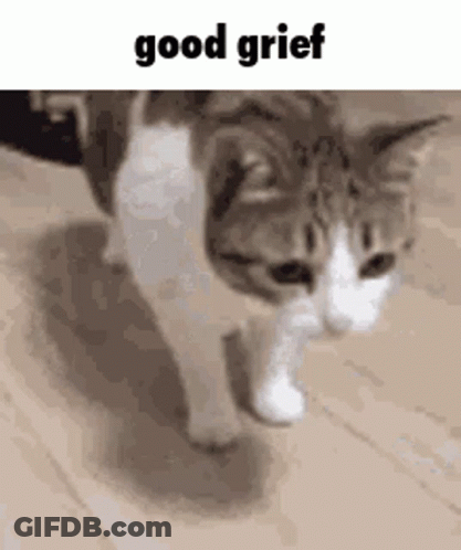 A Cat Is Walking On A Wooden Floor With The Words `` Good Grief '' Written Above It . GIF
