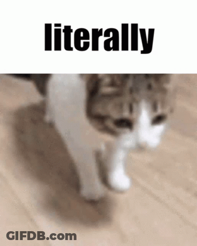 A Cat Is Walking On A Wooden Floor With The Words `` Literally '' Written Above It . GIF