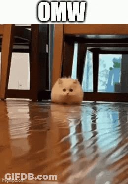 A Cat Is Walking Through A Flooded Room With The Words Omw Above It GIF