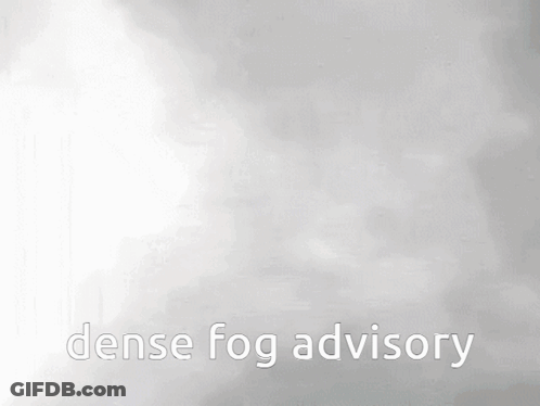 A Cat Is Walking Through Dense Fog With The Words Dense Fog Advisory Above It GIF