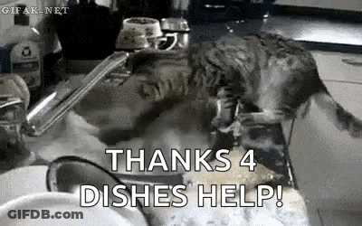 A Cat Is Washing Dishes In A Kitchen Sink With The Words `` Thanks 4 Dishes Help '' . GIF