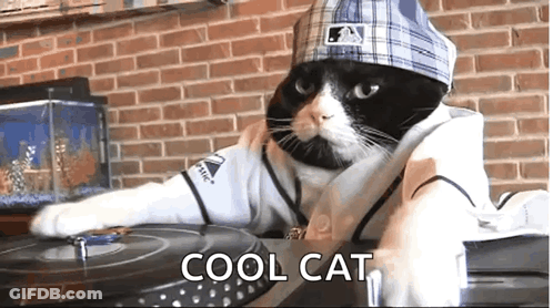 A Cat Is Wearing A Baseball Uniform And A Hat And Says Cool Cat On The Bottom Right GIF