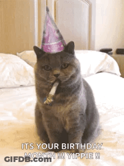 A Cat Is Wearing A Birthday Hat And Blowing A Party Horn . GIF