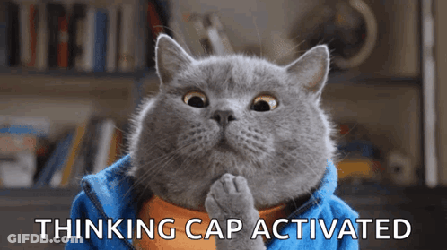 A Cat Is Wearing A Blue Jacket With The Words " Thinking Cap Activated " Written Below It GIF