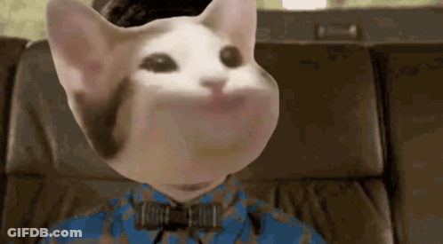 A Cat Is Wearing A Blue Shirt And Bow Tie . GIF