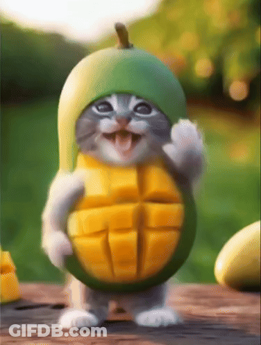 A Cat Is Wearing A Green Hat That Looks Like A Mango Slice GIF