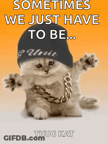 A Cat Is Wearing A Hat And Chain And Says " Sometimes We Just Have To Be " GIF