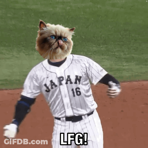 A Cat Is Wearing A Japan Baseball Uniform And Saying Lfg GIF